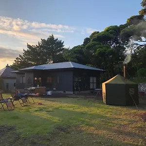 Big Island Base 一組限定 大島